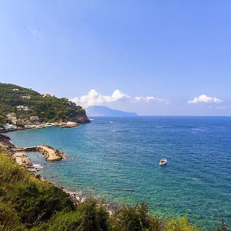 Villa Panorama 马萨鲁布朗斯 外观 照片
