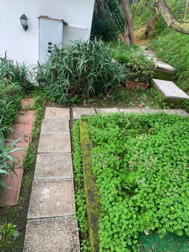 Villa Panorama 马萨鲁布朗斯 外观 照片